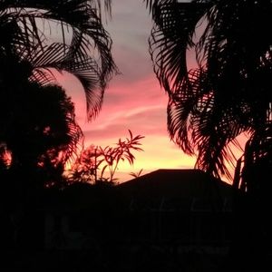 Meet your Posher, Paul